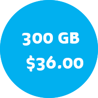 esfera comercial de precios de 300 gb 36 pesos 