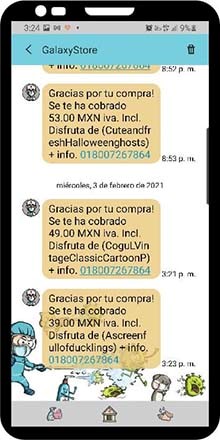 recibiras en tu telefono un mensaje de texto confirmando la compra exitosa